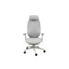 Ergonomska stolica za odrasle za ured