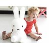 Dálkové ovládání k dětskému LED světlu králíček Miffy originál