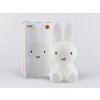 Roztomilé dětské LED světýlko králíček Miffy střední